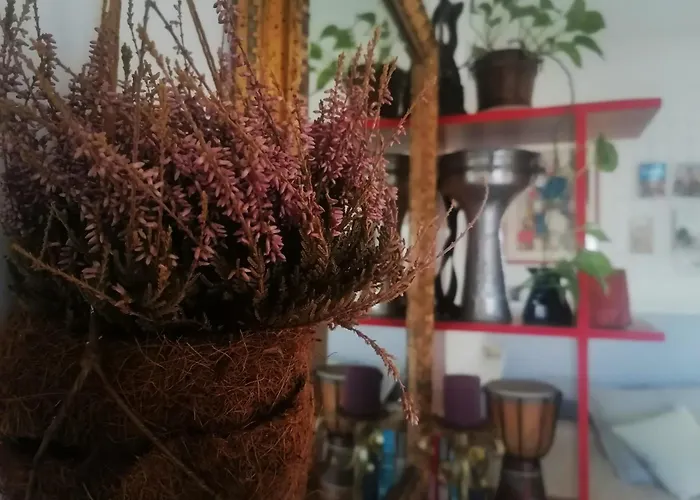 Bright And Cosy With Terrace In Aunt Laura's House בית הארחה